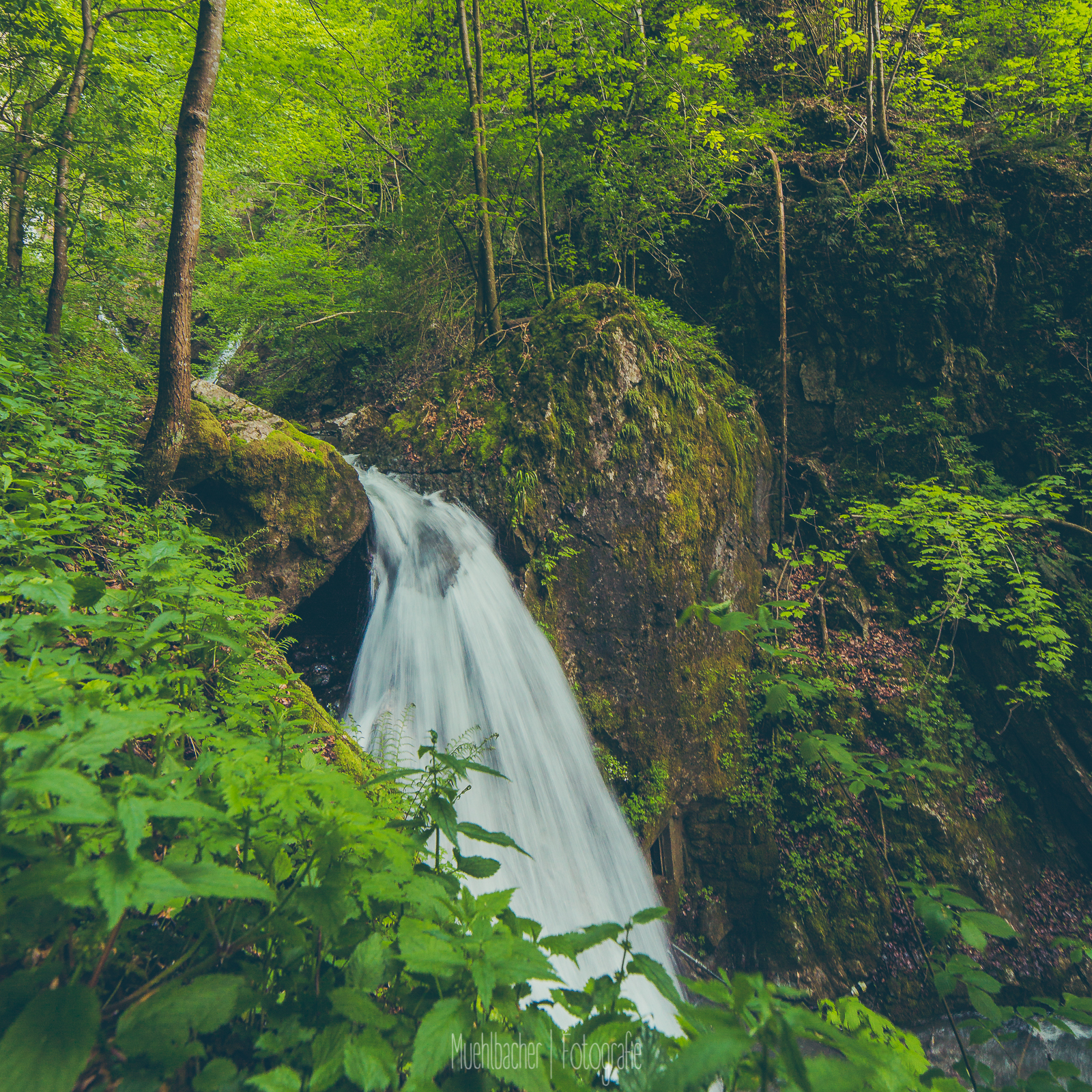 Bucher Wasserfall - Tirol