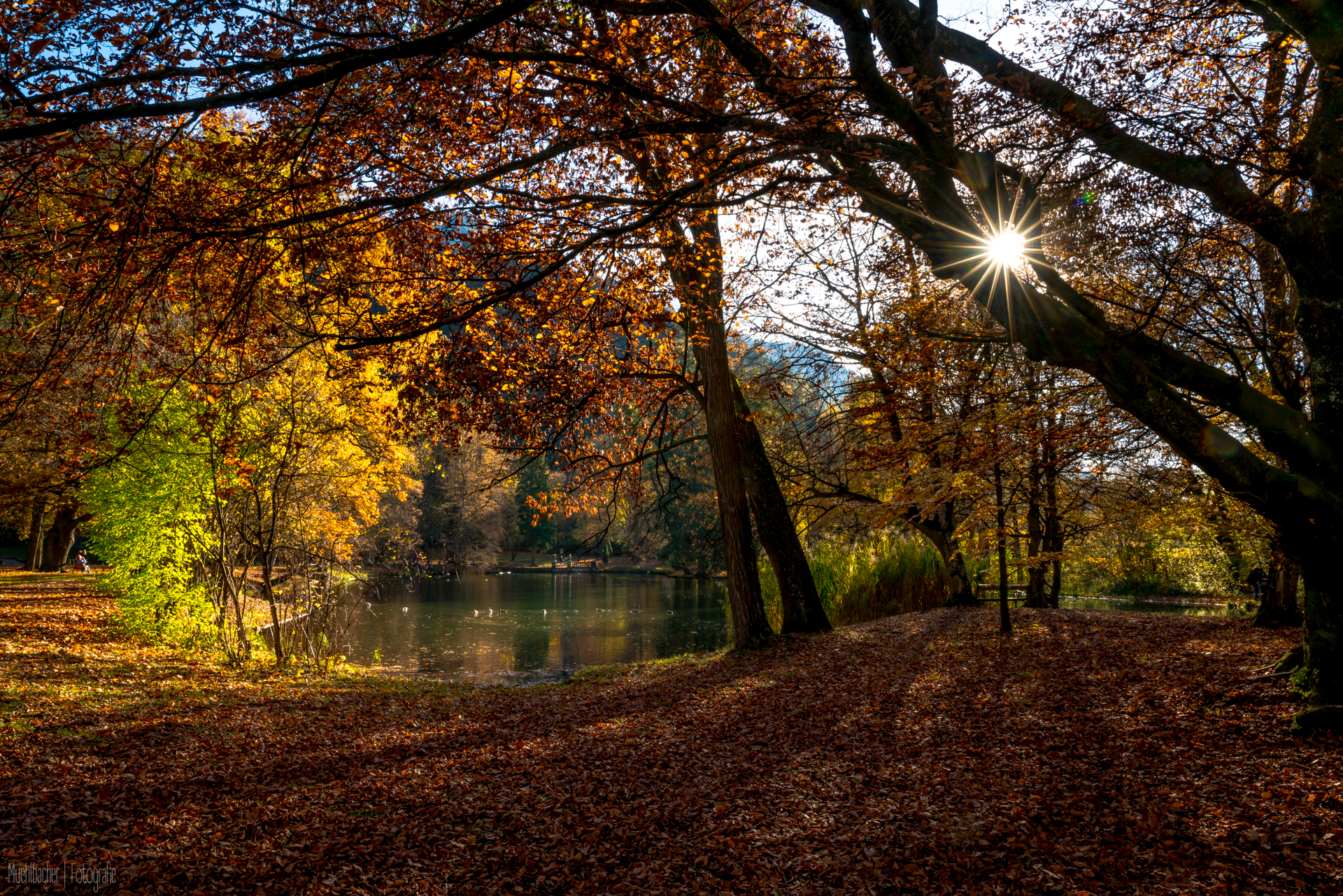 Tirol - Herbst